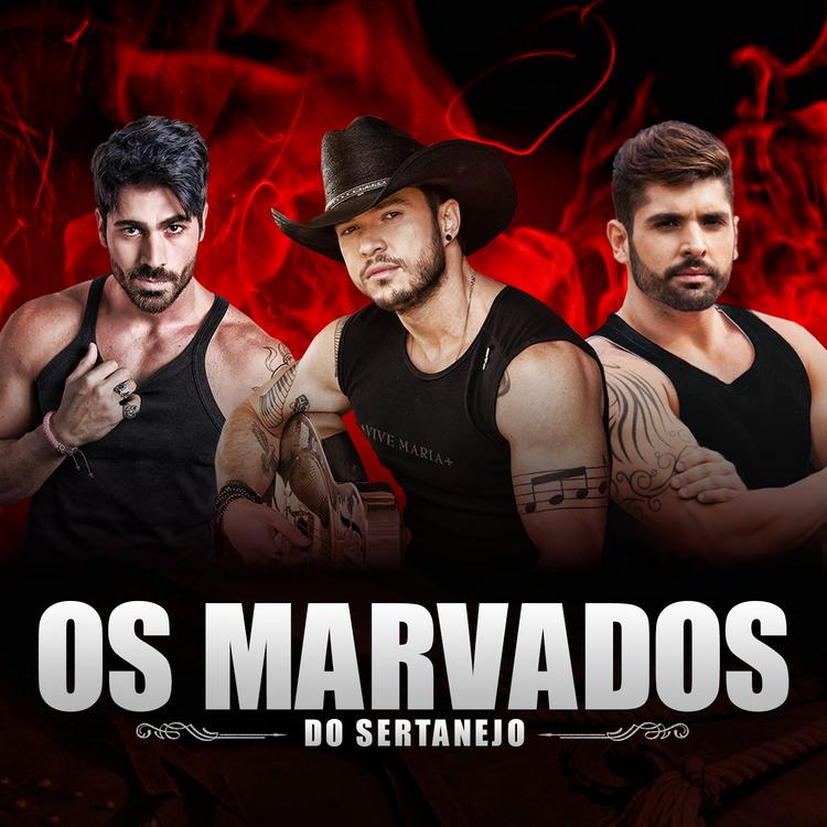 Os Marvados do Sertanejo's avatar image