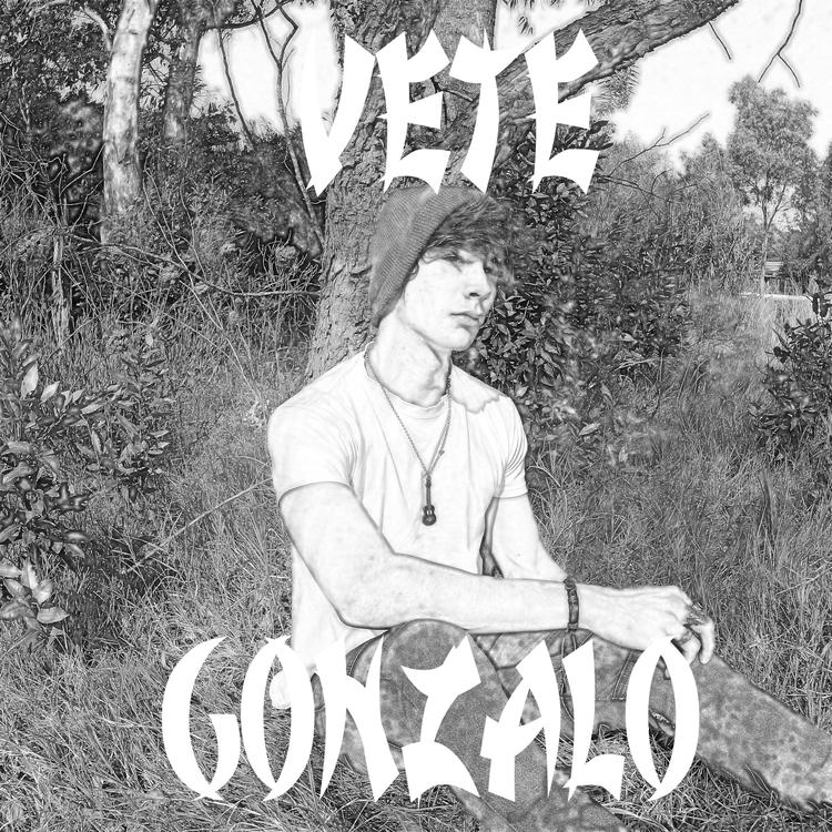 Gonzalo N's avatar image