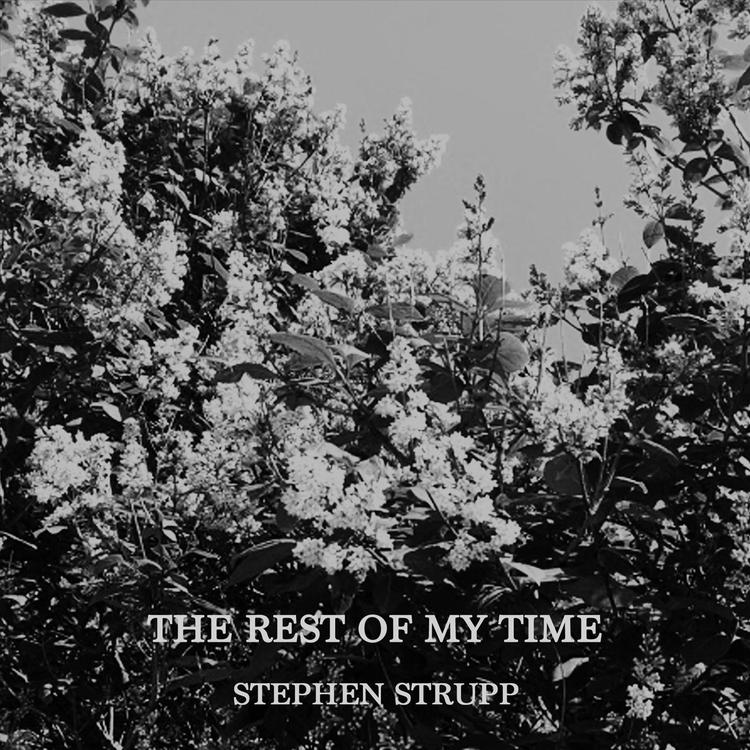 Stephen Strupp's avatar image