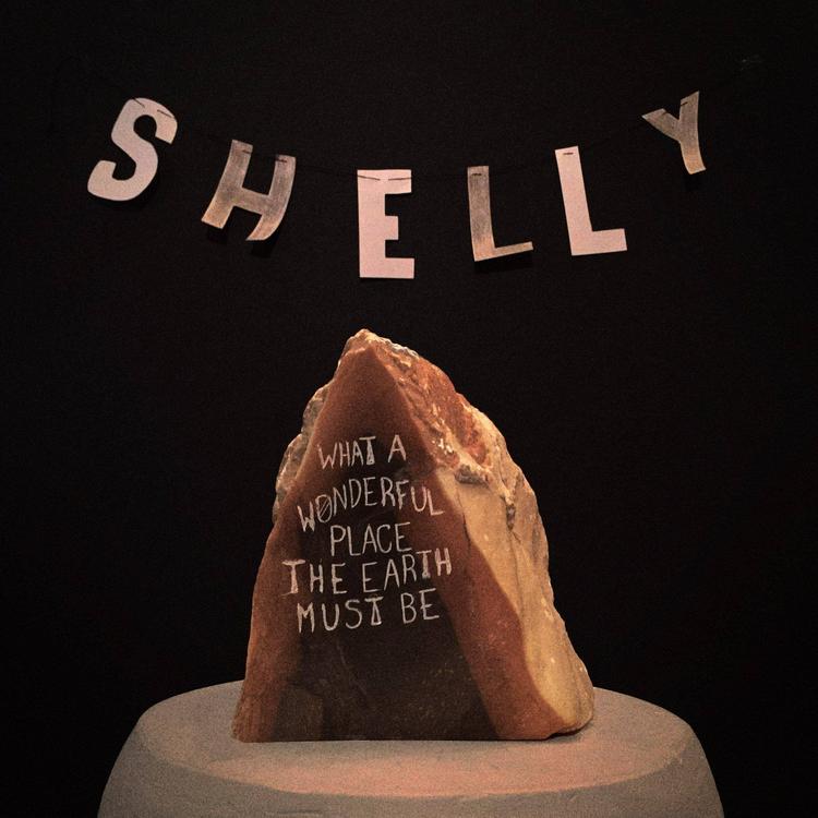 Shelly's avatar image