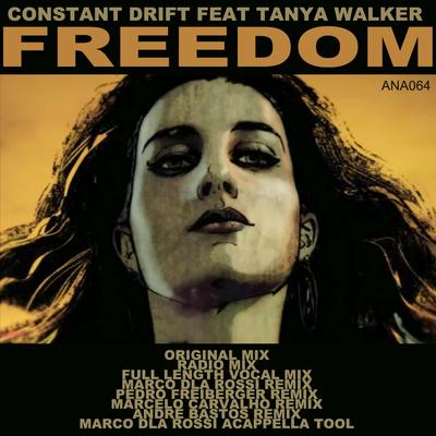 Constant Drift's cover