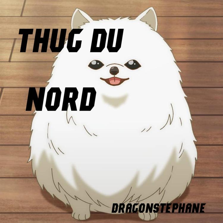 Dragonstephane's avatar image