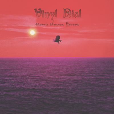 Vinyl Dial's cover