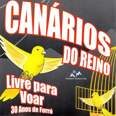Foi Bom Te Amar (Ao Vivo) By Canários do Reino's cover