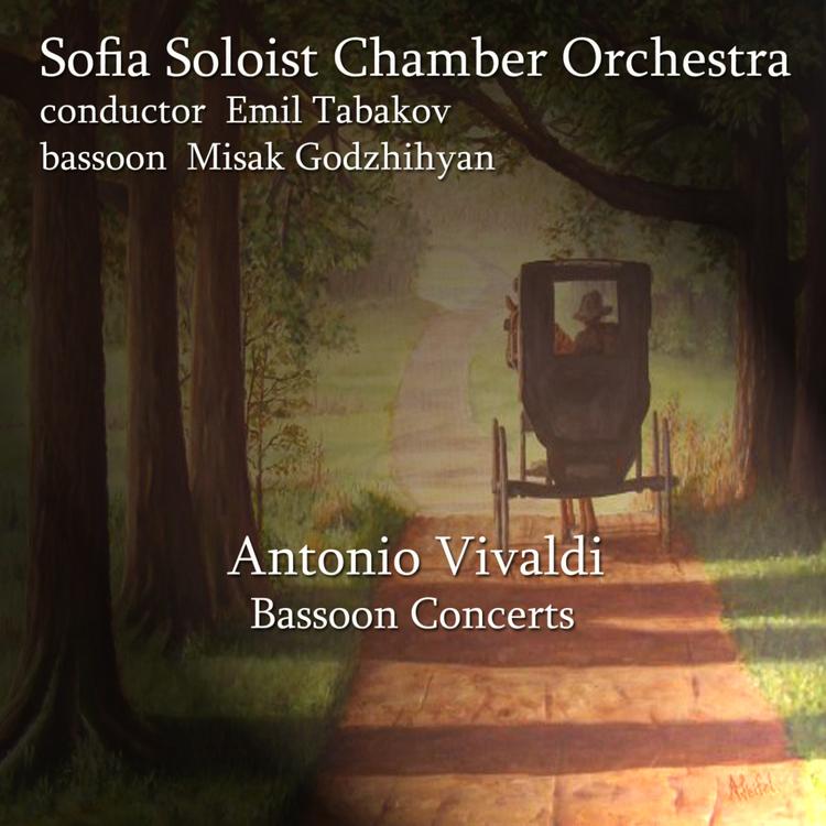 Sofia Soloist Chamber Orchestra's avatar image