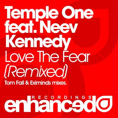 Love The Fear (Remixed)'s cover