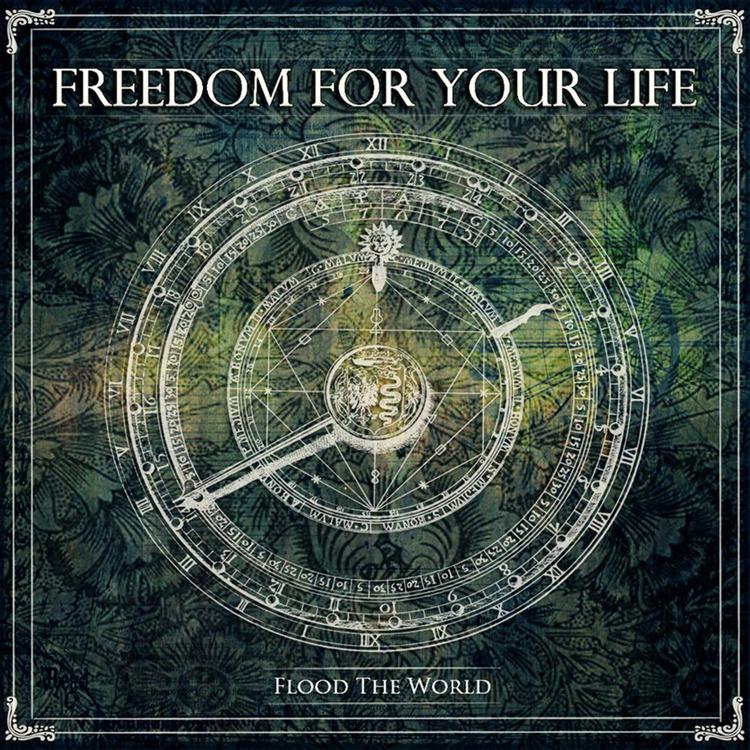 Freedom for Your Life's avatar image