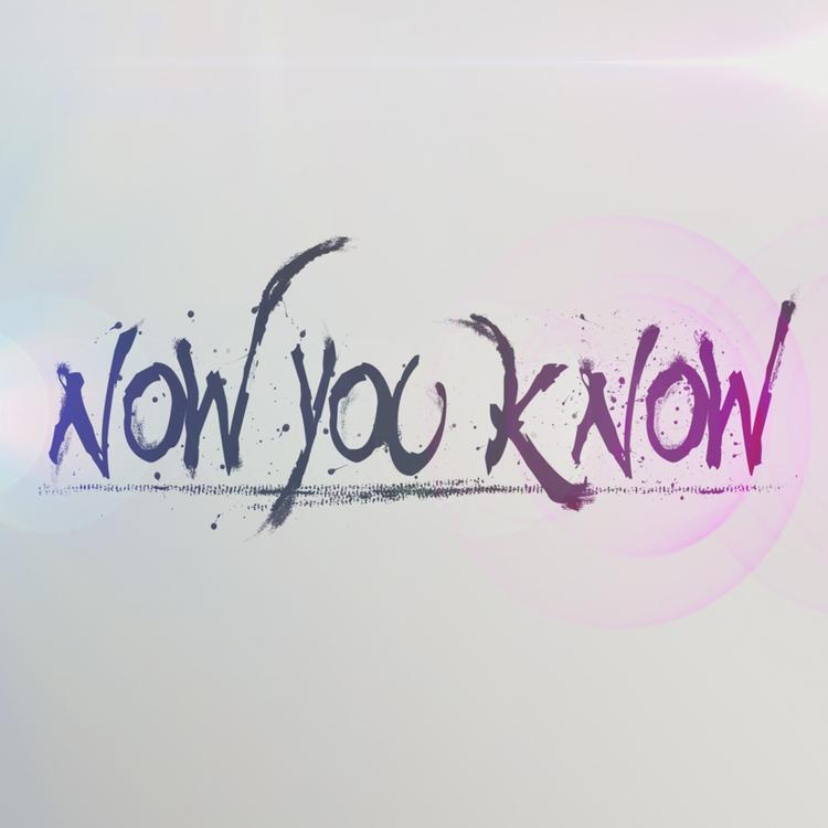 Now You Know's avatar image