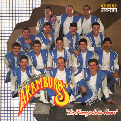 Banda Aramburos's cover