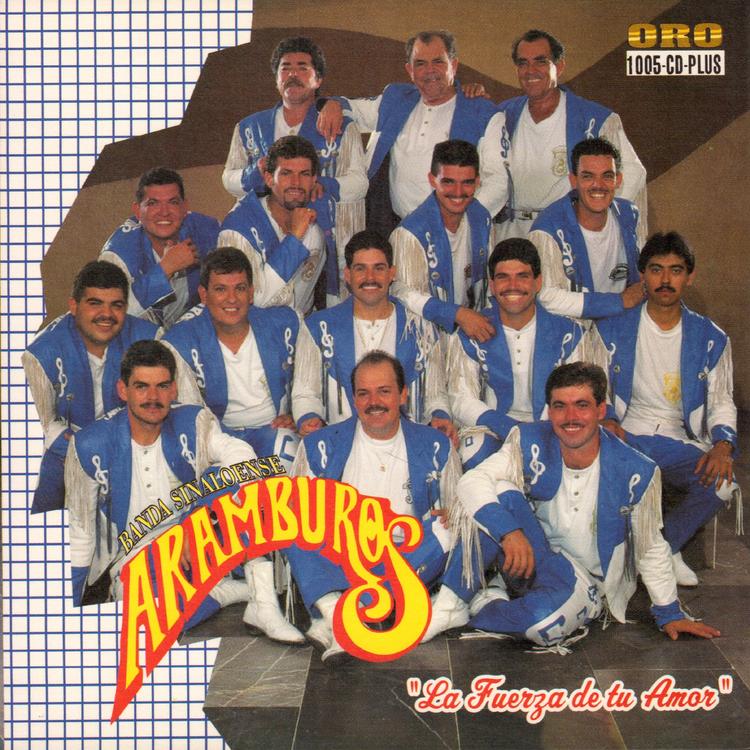 Banda Aramburos's avatar image