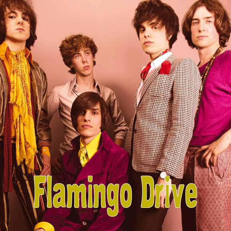 Flamingo Drive's avatar image