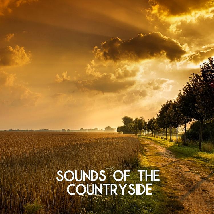 Sounds Of The Countryside's avatar image