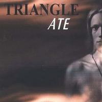 Triangle's avatar cover