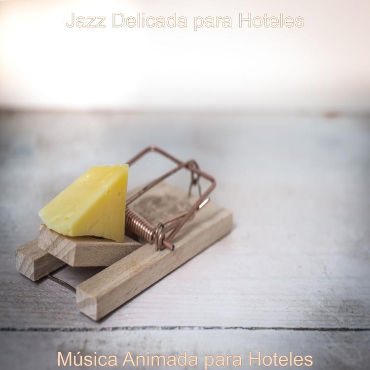 Jazz Delicada para Hoteles's avatar image