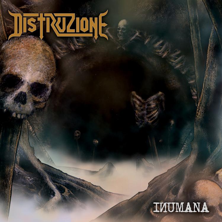 Distruzione's avatar image