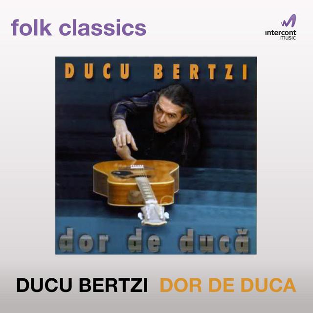 Ducu Bertzi's avatar image