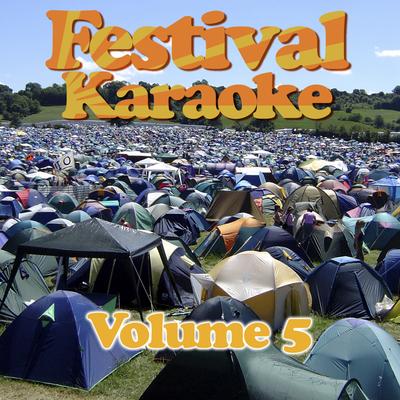 Festival Karaoke Volume 5's cover