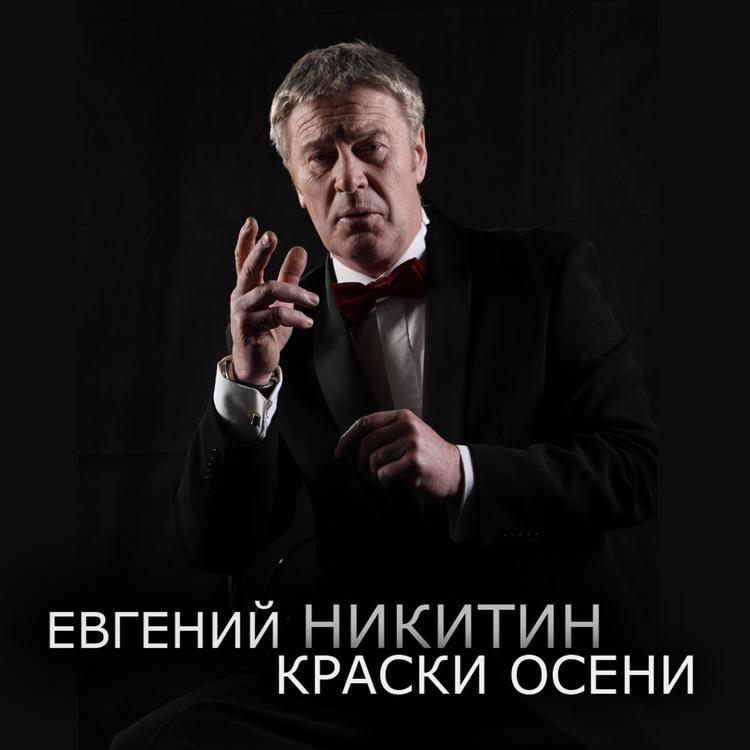 Evgeniy Nikitin's avatar image