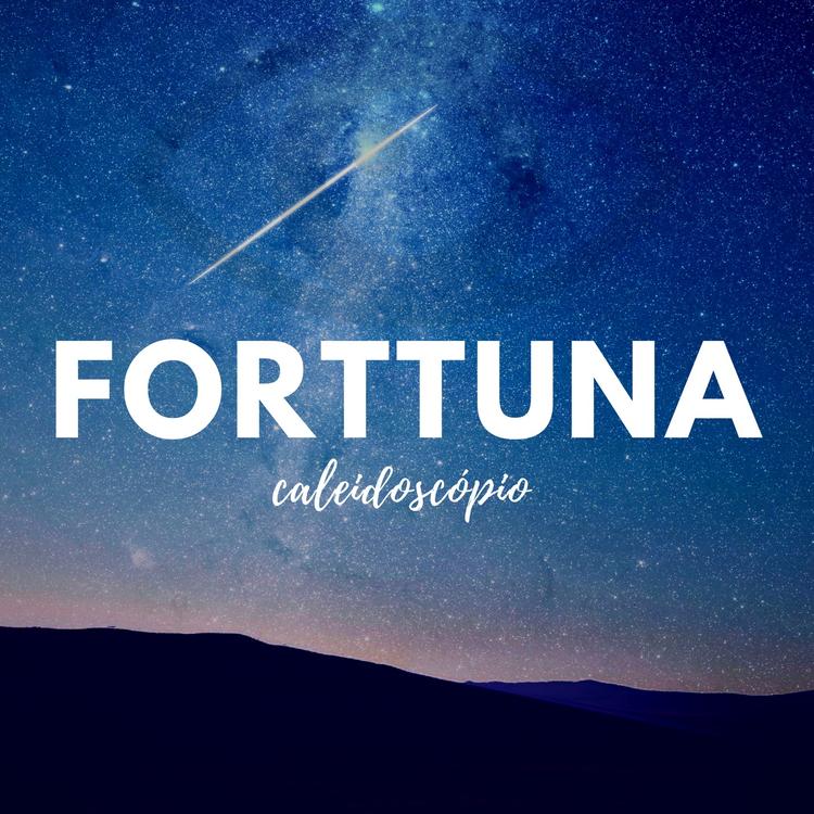 Forttuna's avatar image