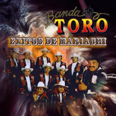 Exitos de Mariachi's cover