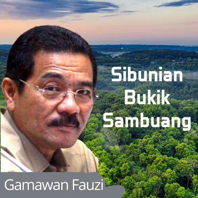 Gamawan Fauzi's avatar image