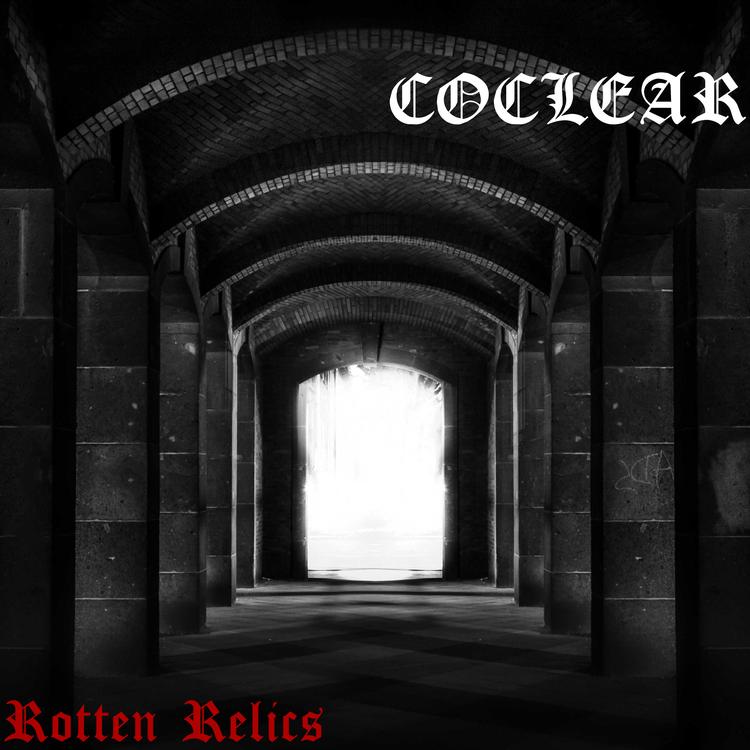 COCLEAR's avatar image