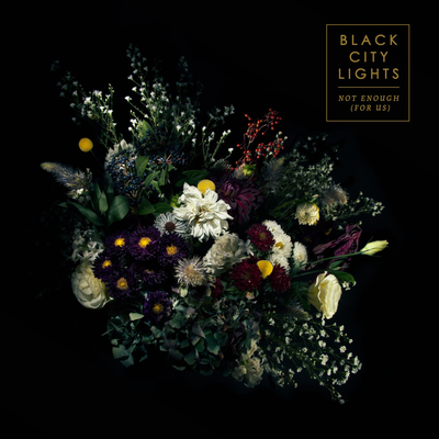 Black City Lights's cover