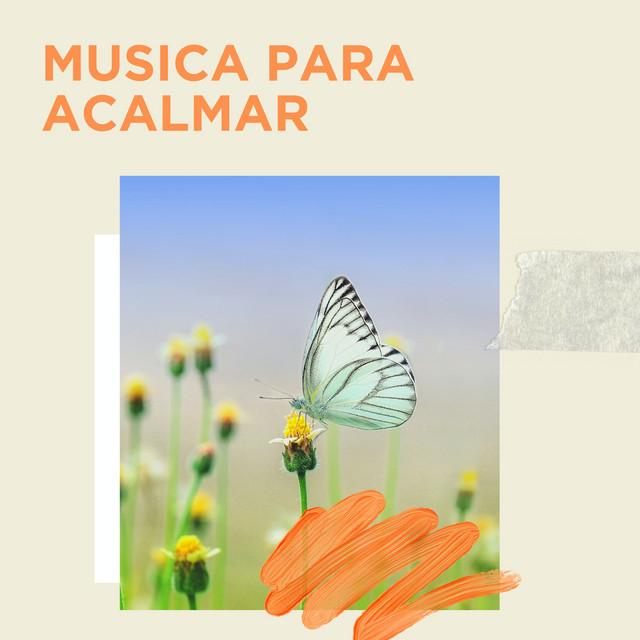 Musica Para Acalmar's avatar image