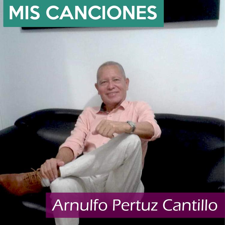 Arnulfo Pertuz Cantillo's avatar image