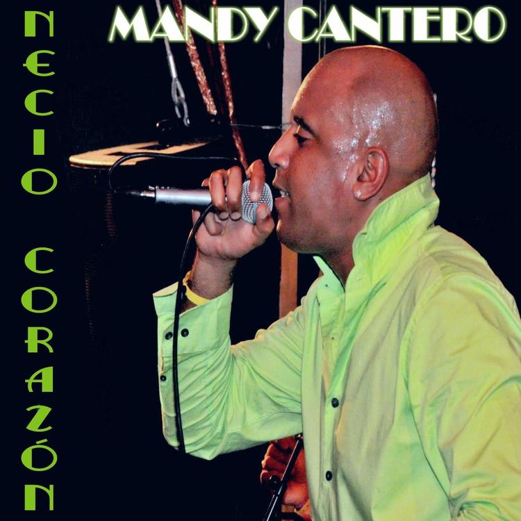 Mandy Cantero's avatar image