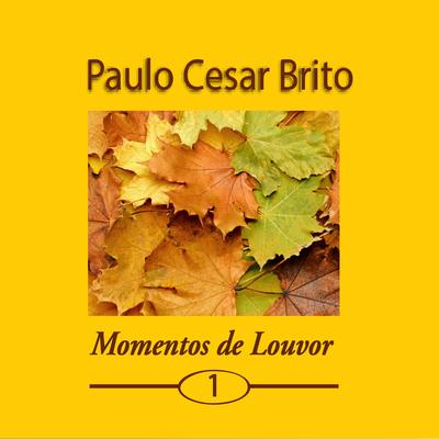 Foi Graça By Paulo Cesar Brito's cover