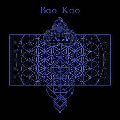 Bao Kao's cover