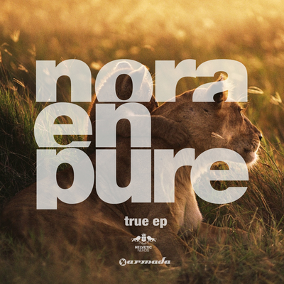 True (Original Mix) By Nora En Pure's cover