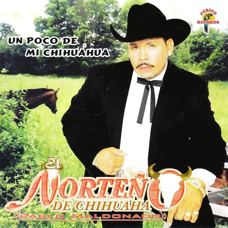 El Norteño De Chihuahua's avatar image