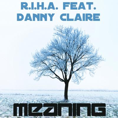 Meaning (Club Mix)'s cover