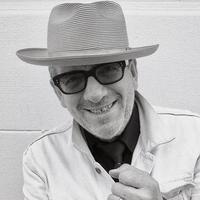 Elvis Costello's avatar cover