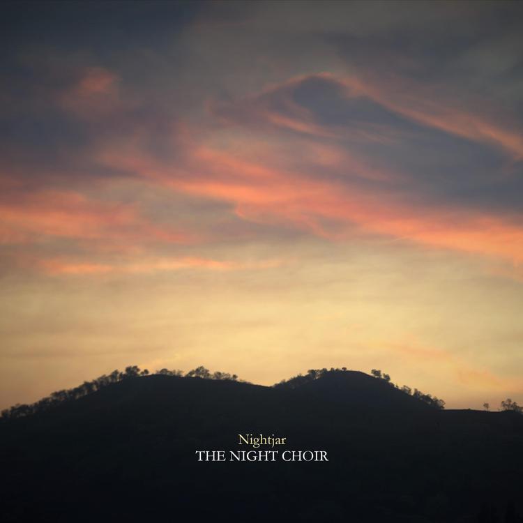The Night Choir's avatar image