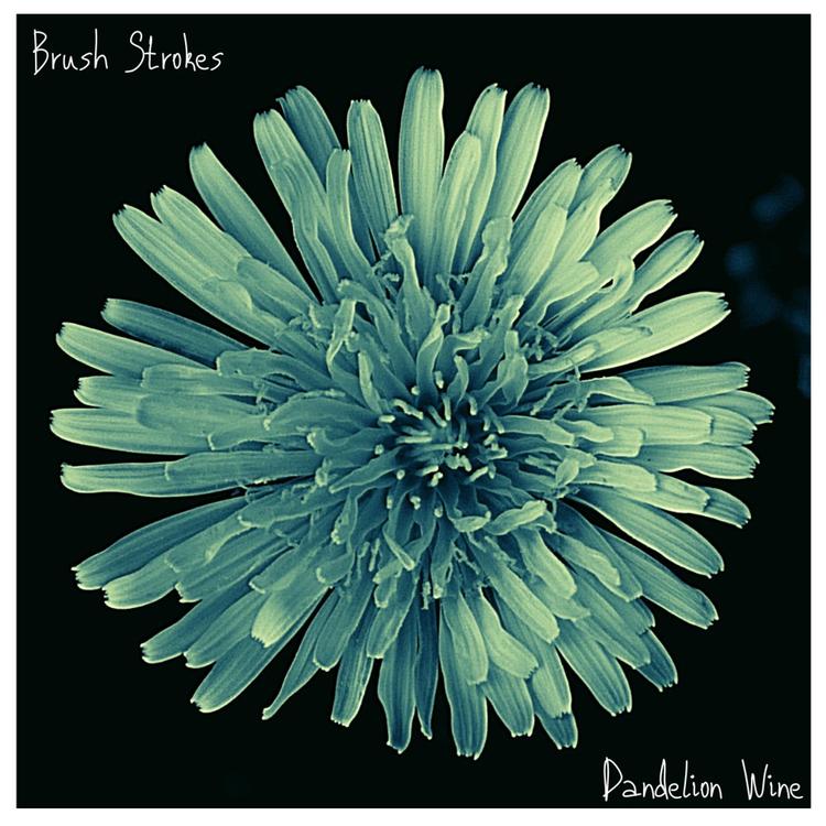 Brush Strokes's avatar image