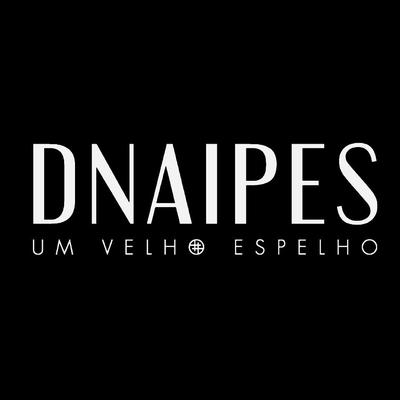 Dnaipes's cover