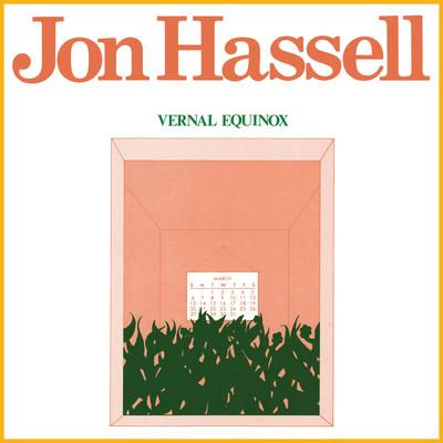 Toucan Ocean By Jon Hassell's cover