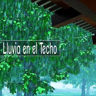 Lluvia en el Techo, Pt. 46 By Para Dormir's cover