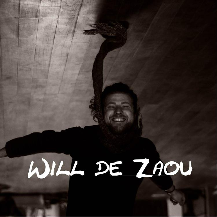 Will de Zaou's avatar image