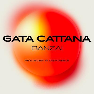 Gata Cattana's cover