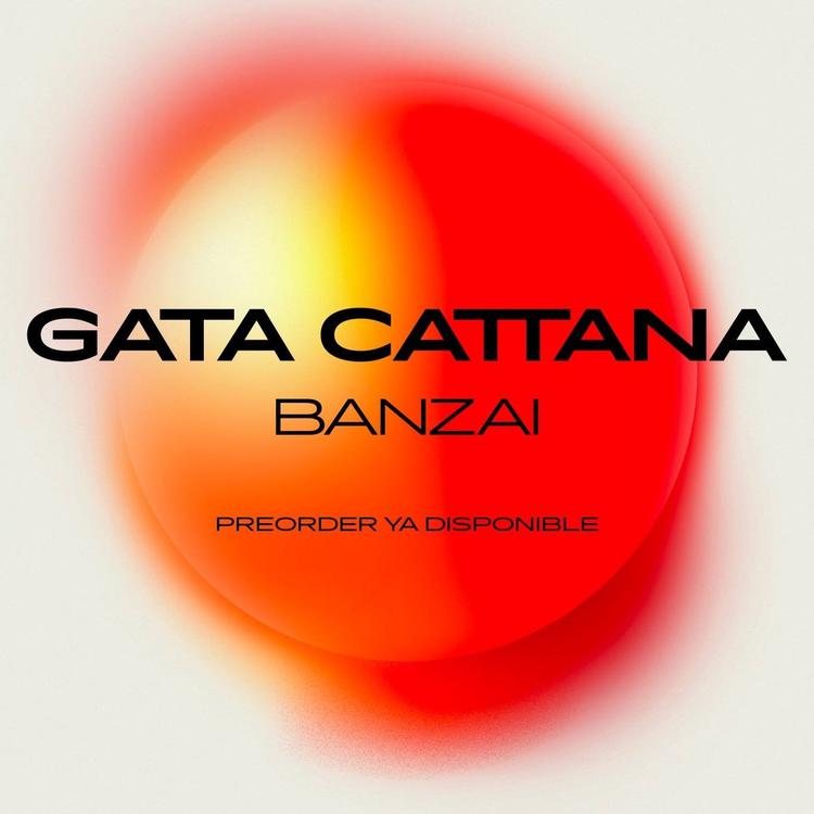 Gata Cattana's avatar image