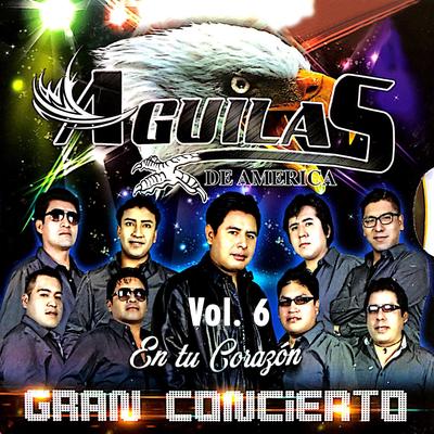 En Tu Corazón: Gran Concierto, Vol. 6's cover