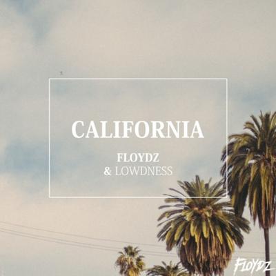 California (Radio Edit) By Floydz, Lowdness's cover