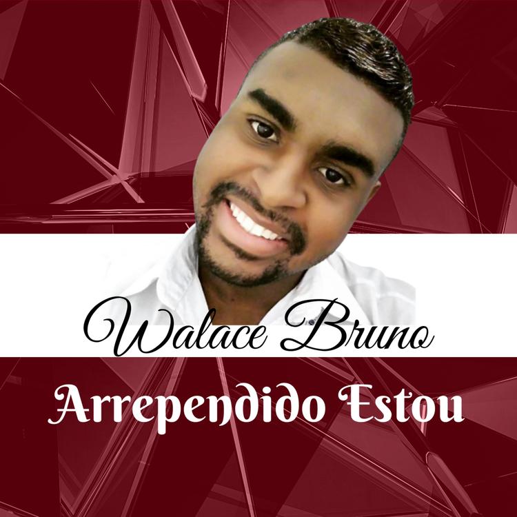 Walace Bruno's avatar image