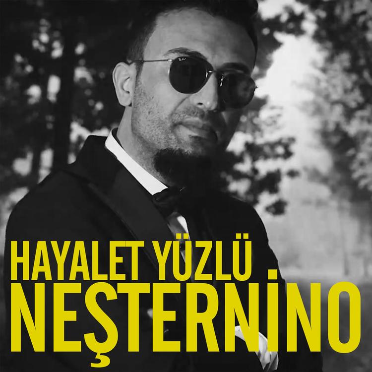 Neşternino's avatar image