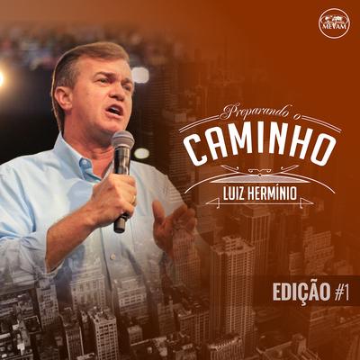 Recomece (Ao Vivo) By Luiz Hermínio's cover