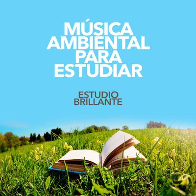 Estudio Brillante's cover